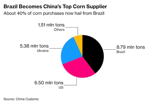 Top corn exports