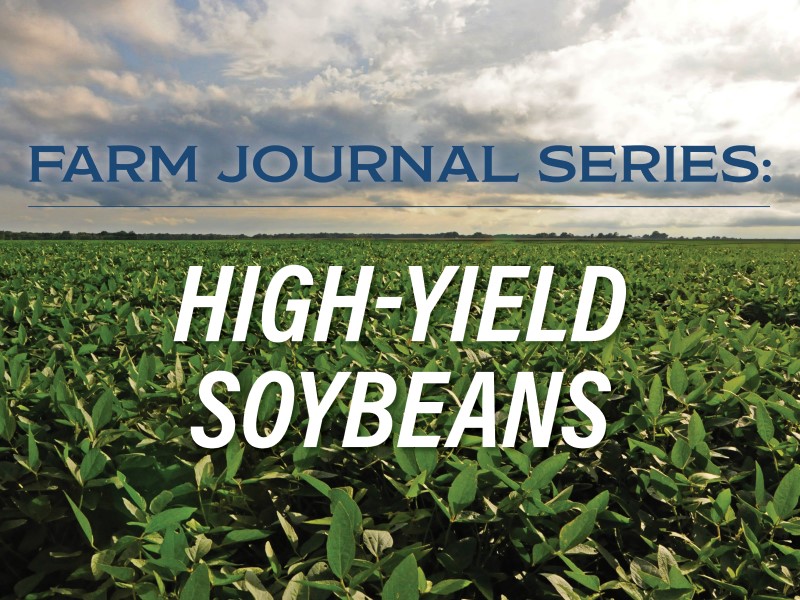 Farm Journal Series: High-Yield Soybeans