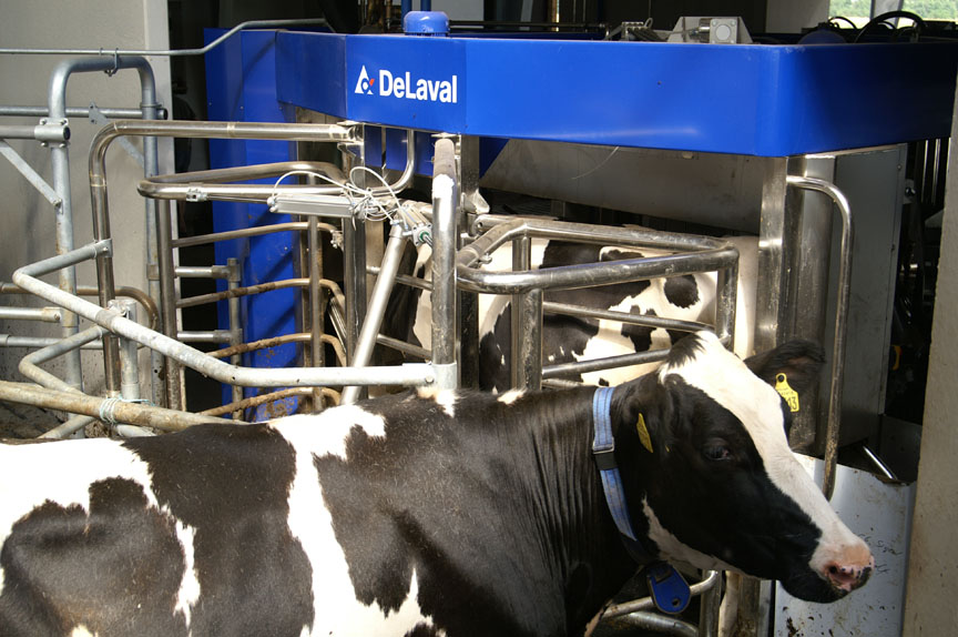 Robotic Milking Picks Up Speed in the U.S. | Dairy Herd