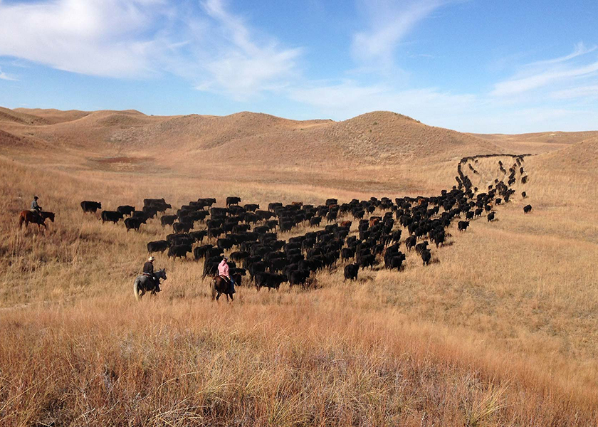 Nebraska's AL Ranch Listed - Drovers Magazine