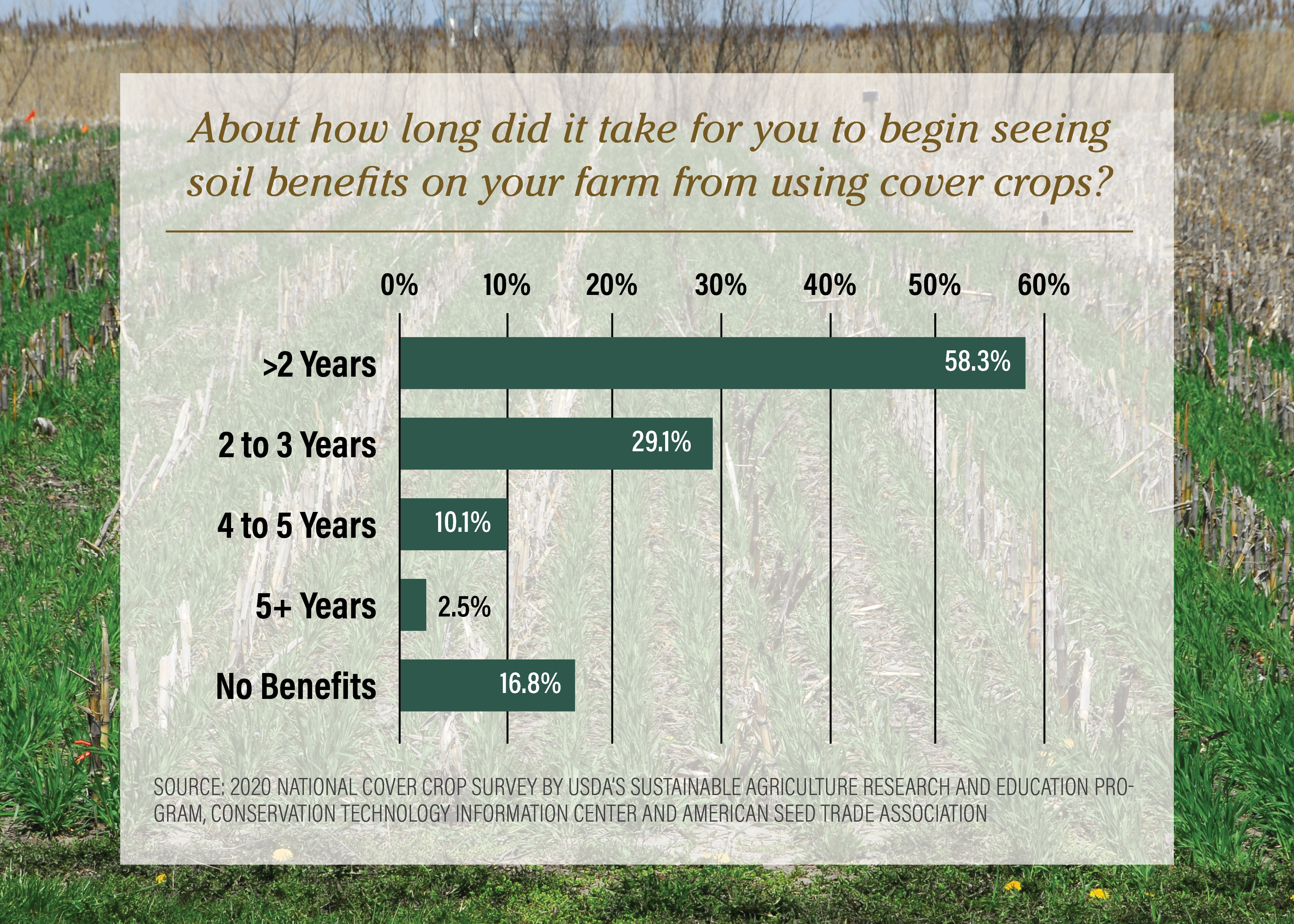 Feed Your Soil With Cover Crops