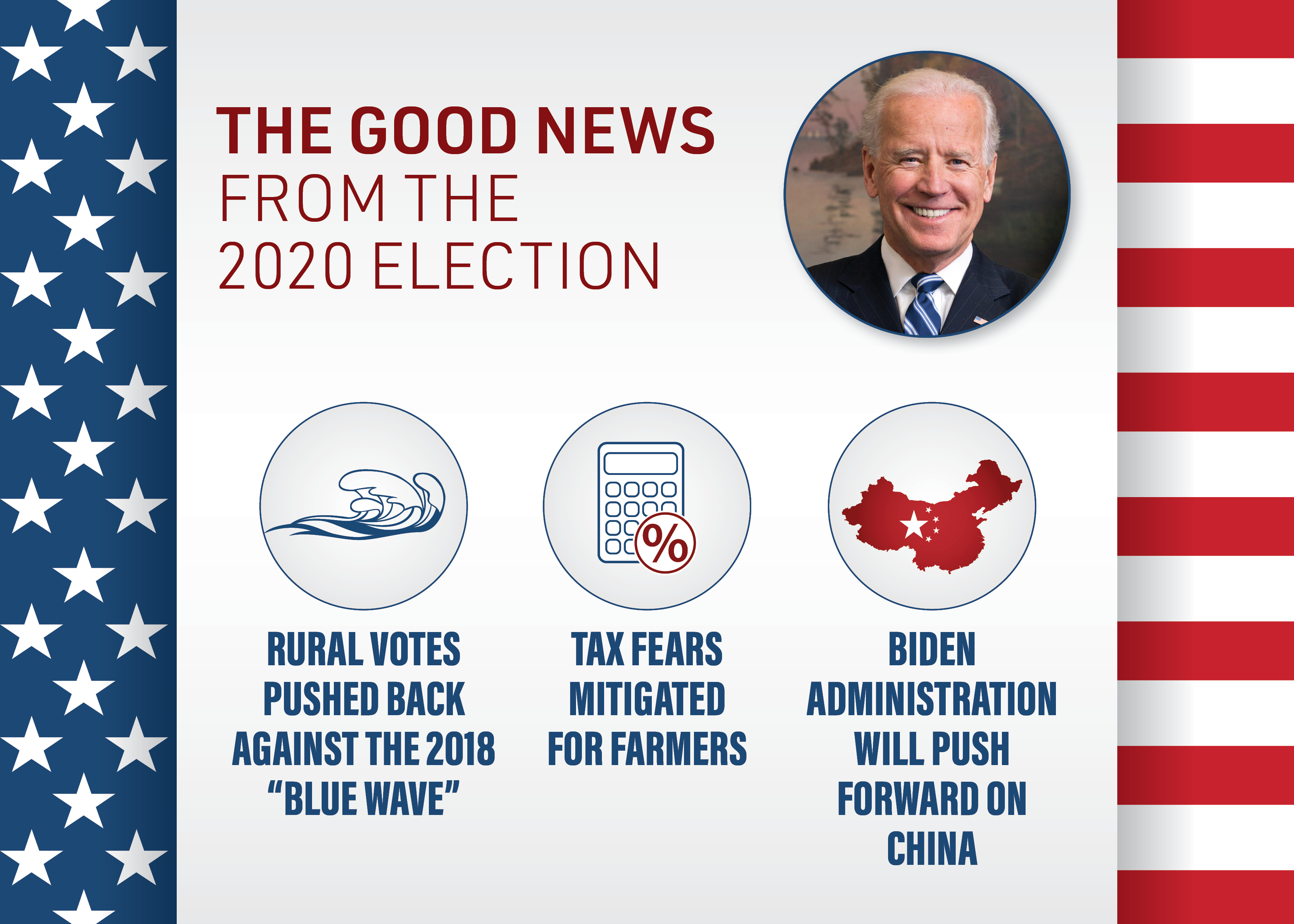 The Good News from the 2020 Election