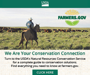  Your Conservation Connection