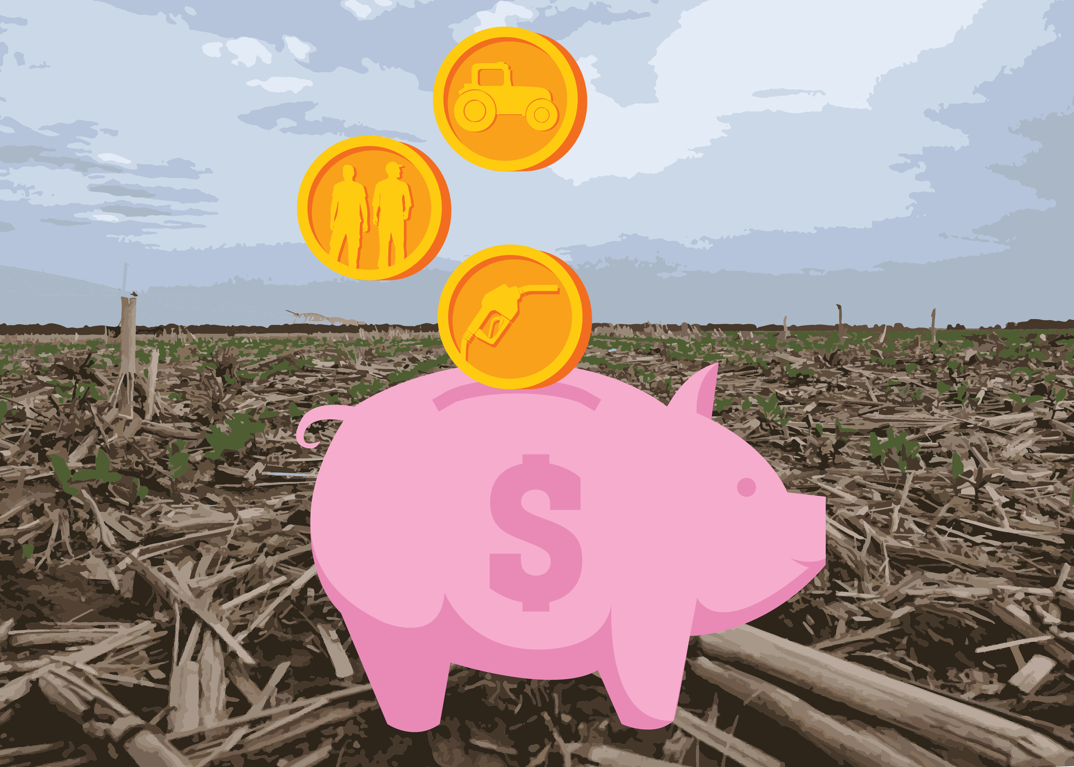 Understand The Economics of Tillage