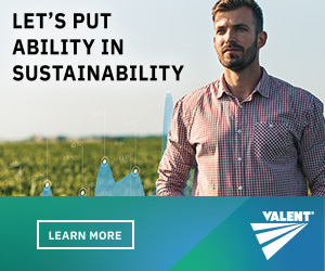 Let’s Put Ability In Sustainability