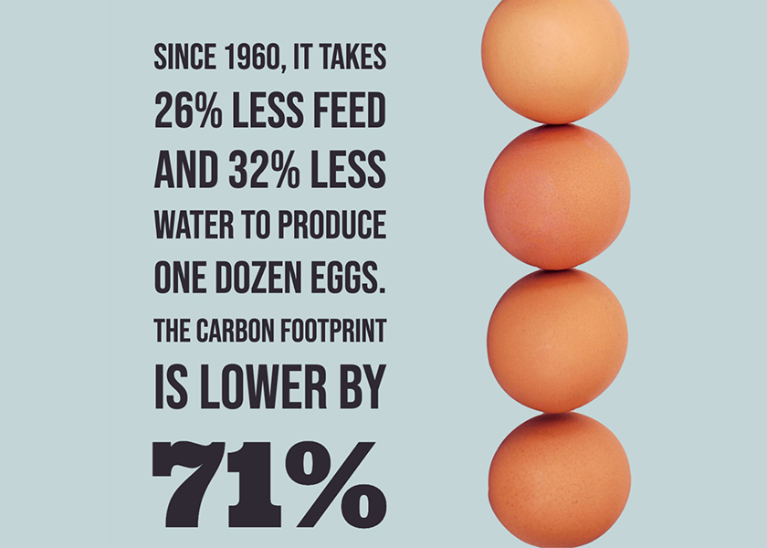  The resources used to produce one dozen eggs have been cut considerably with 26% less feed, 32% less water and a 71% lower carbon footprint since 1960.