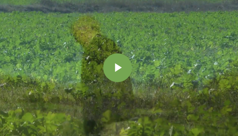 Soil Whispers: How the Murphy Family Saved Mississippi Soils Through Conservation