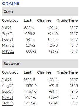 Market Chart