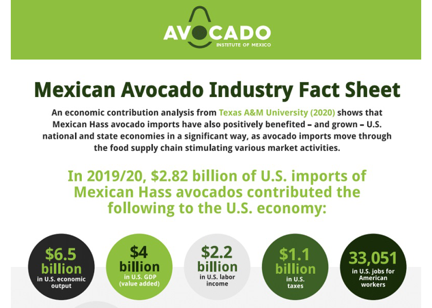 Mexican Avocado Imports on Track for Record-Setting Season | The Packer
