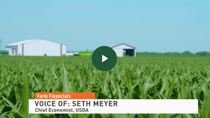 U.S. Cropland Values Up Nearly 8% in 2021