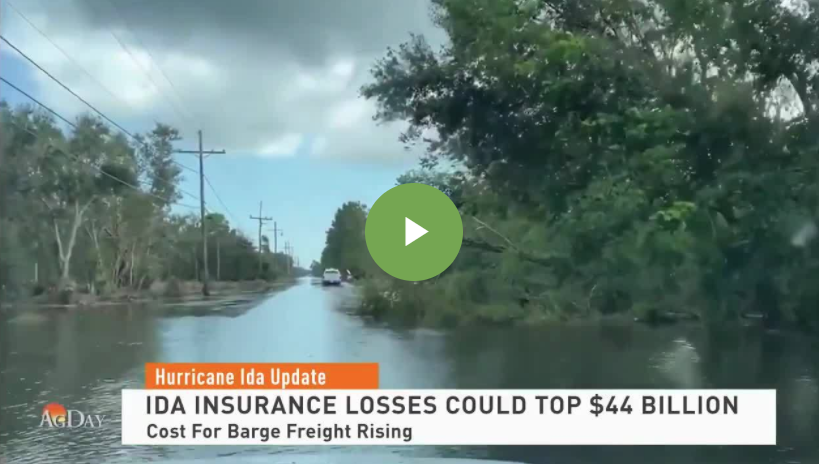 Insurance Losses Mount as Hurricane Ida Could Become Top Five Costliest Hurricanes in History