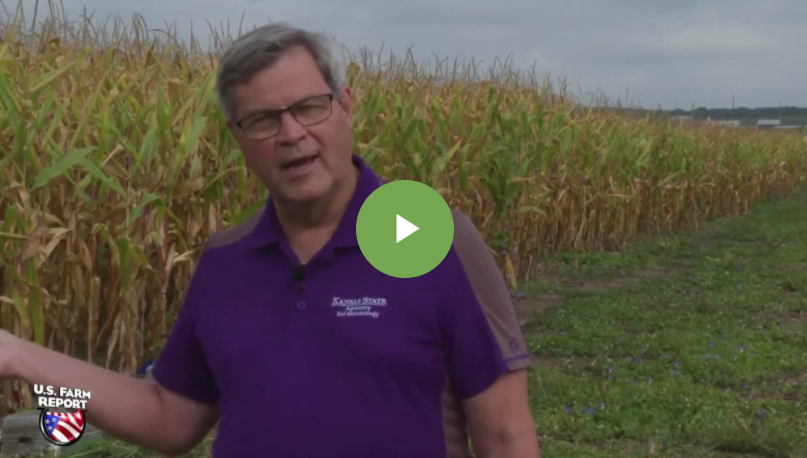 Row Crop Recipe: Practices to Help Agriculture Reduce Nitrogen Loss, Cut Carbon Footprint