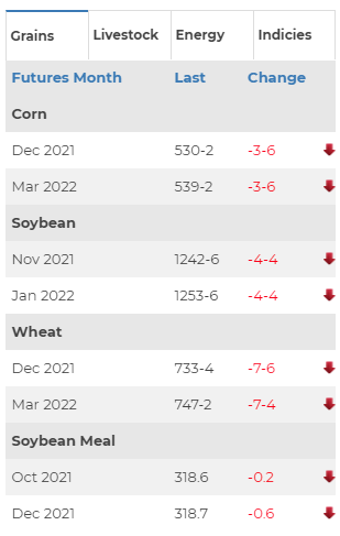 Market Chart