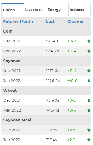 Market Chart