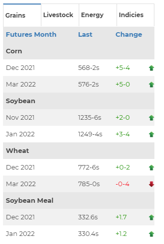 Market Chart