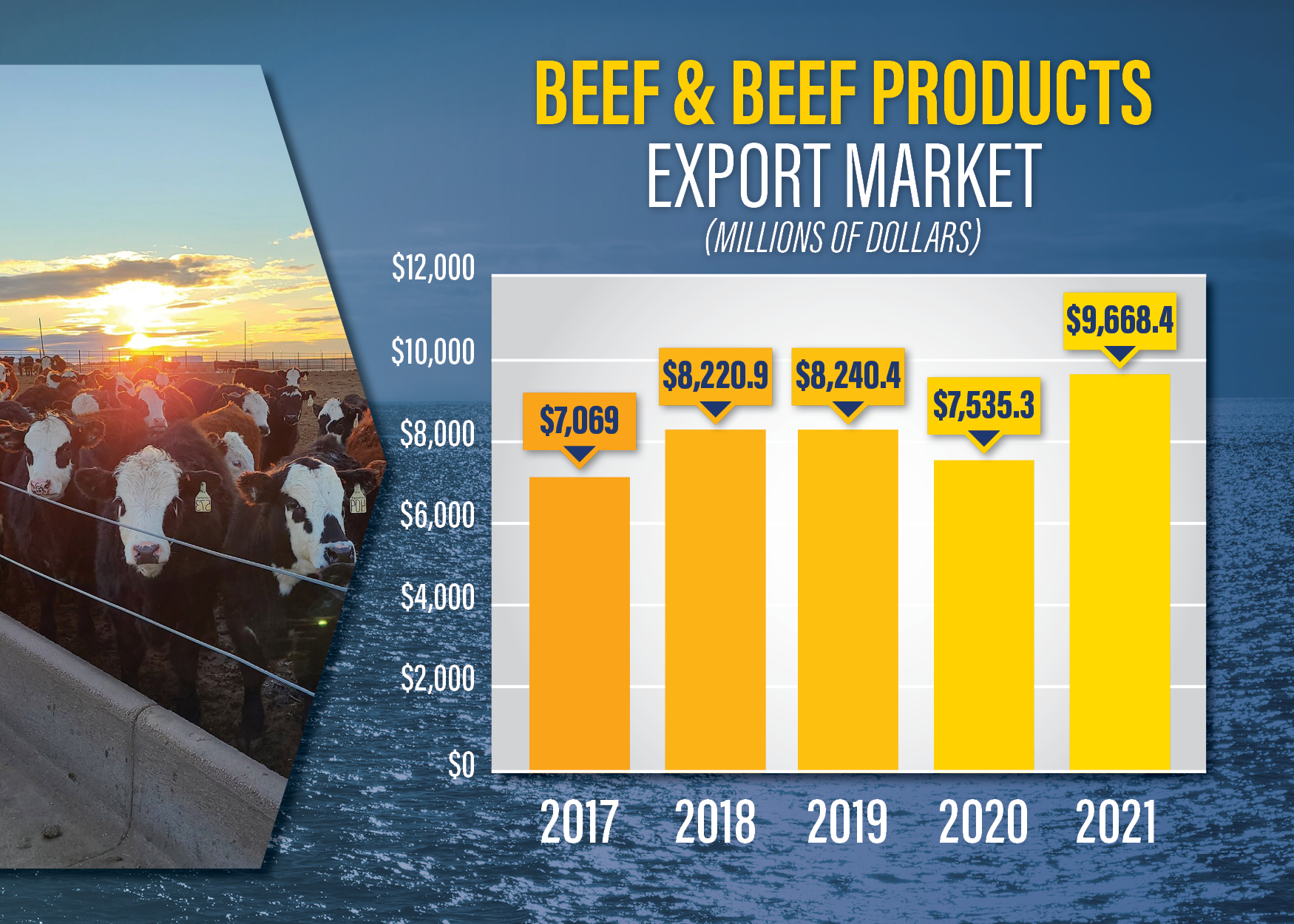  Beef & Beef Products