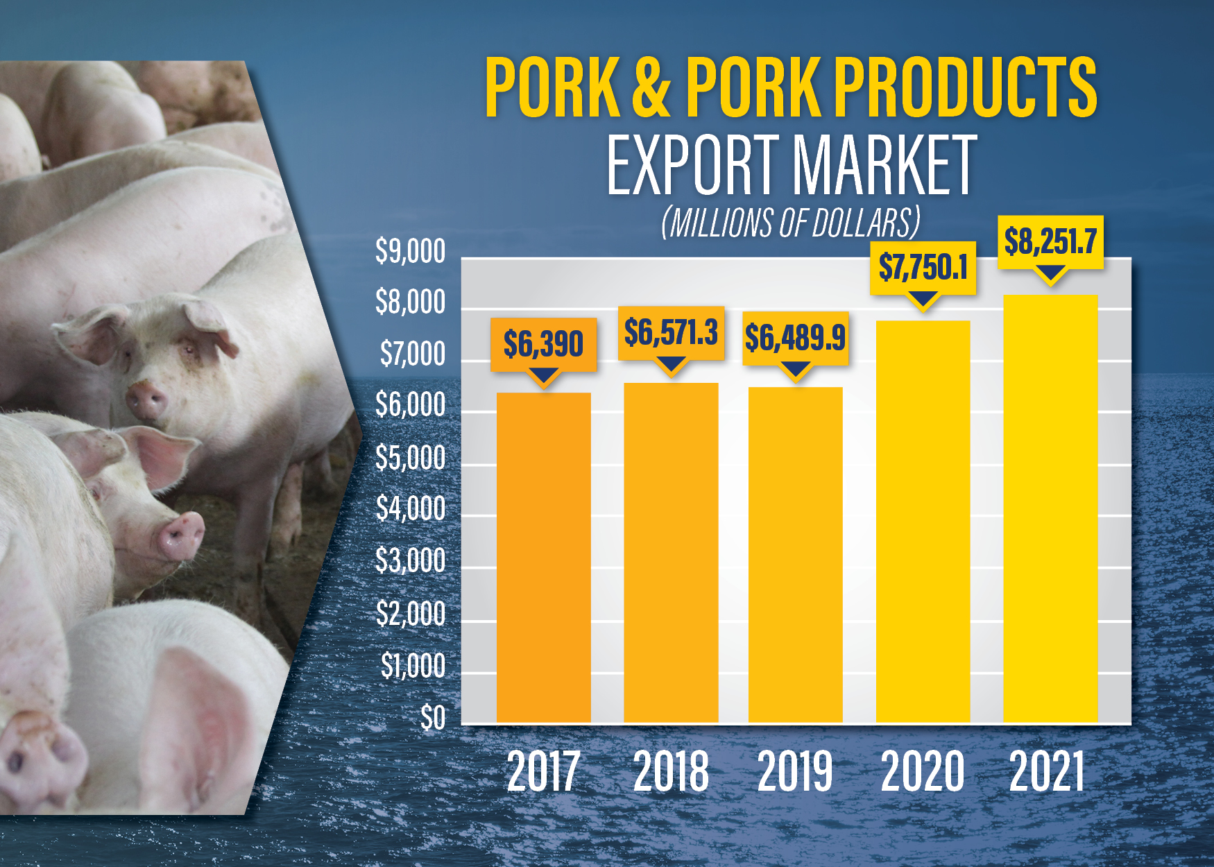  Pork and Pork Products