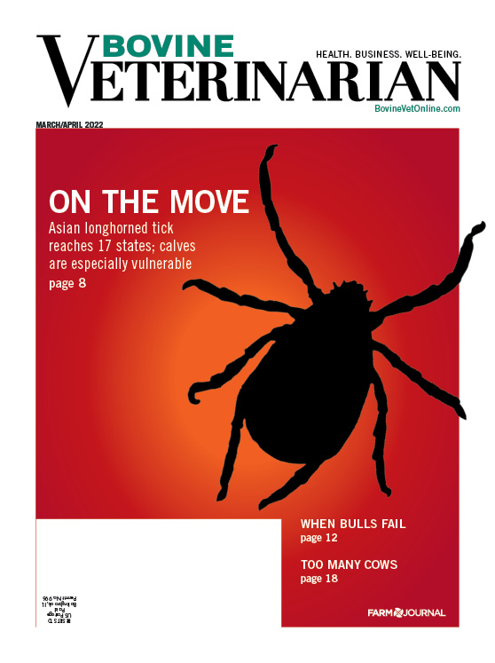  Cover of Bovine Veterinarian March-April 2022 