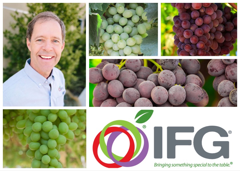 IFG - Table Grapes & Cherries