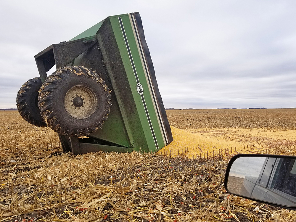  Upset the Grain Cart: Sometimes the grand finale of harvest is not so grand. 