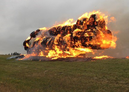  Up in Flames: Don’t count your eggs before they hatch or your bales before they are in the hay ring.
