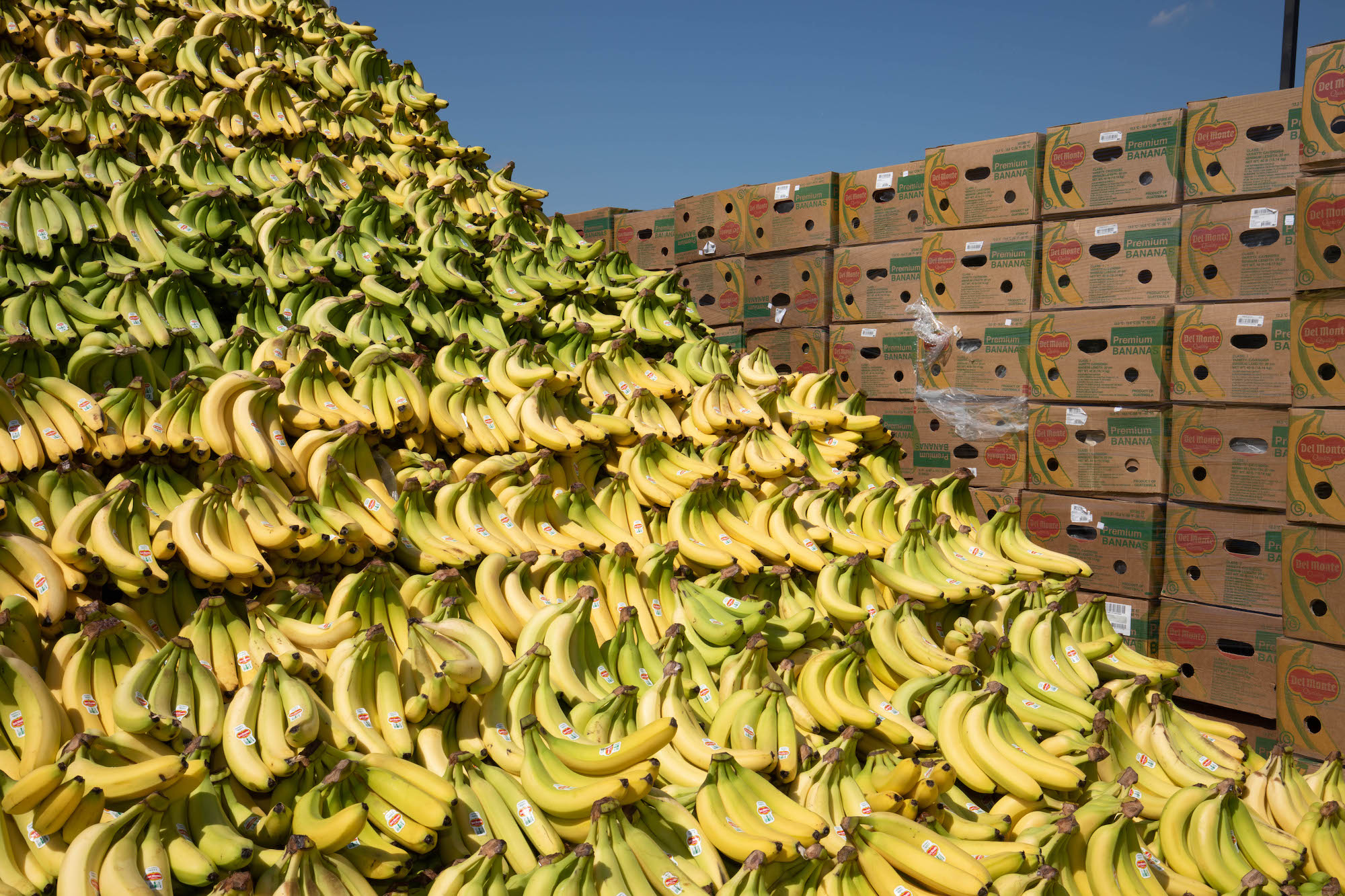   Together, a fresh produce supplier and retailer broke a world record: World’s Largest Fruit Display.