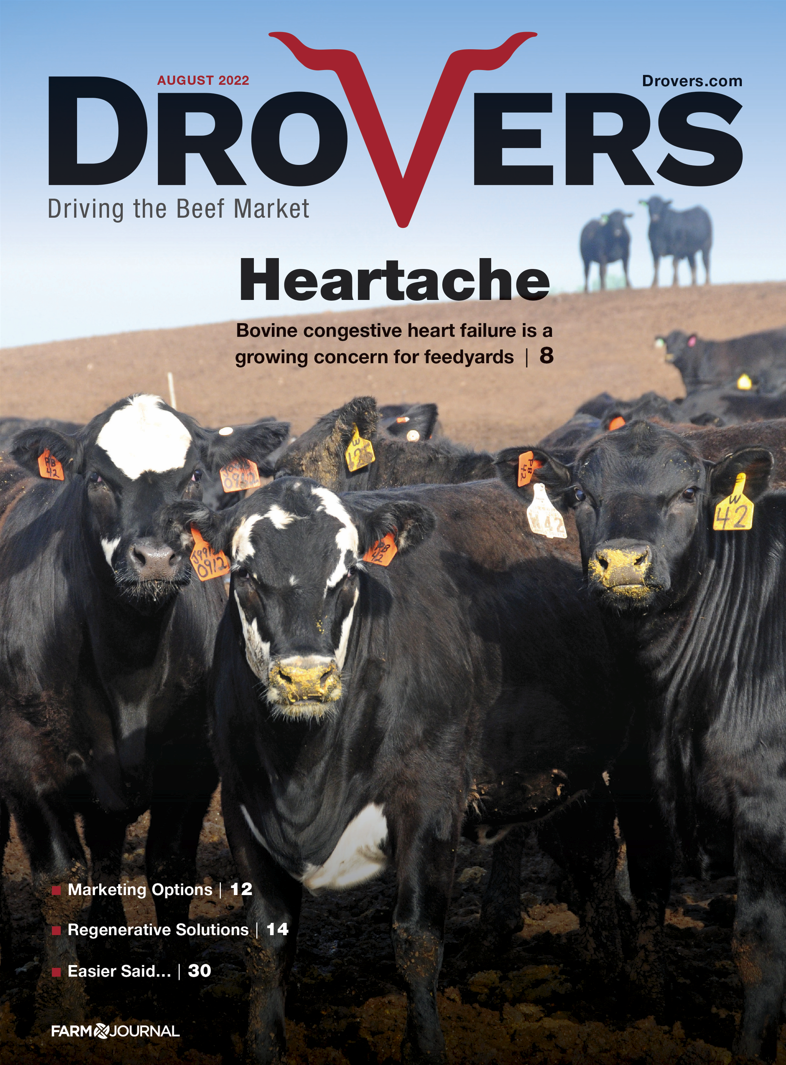  Drovers - August 2022 