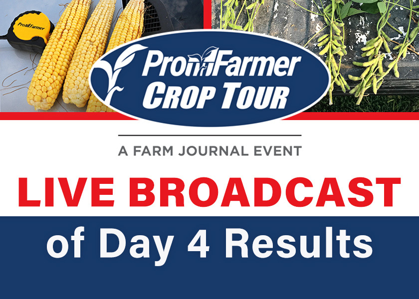 Watch Live Pro Farmer Crop Tour Results, Day 4 AgWeb