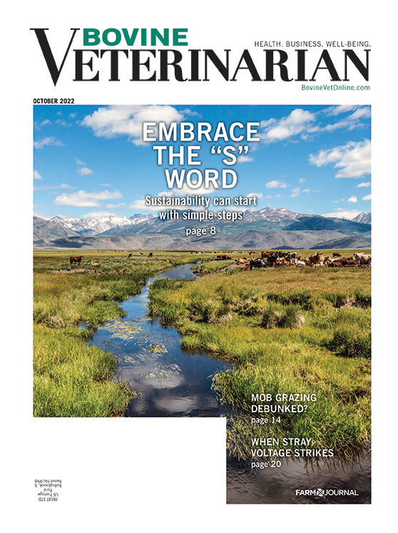  Cover of Bovine Veterinarian October 2022 