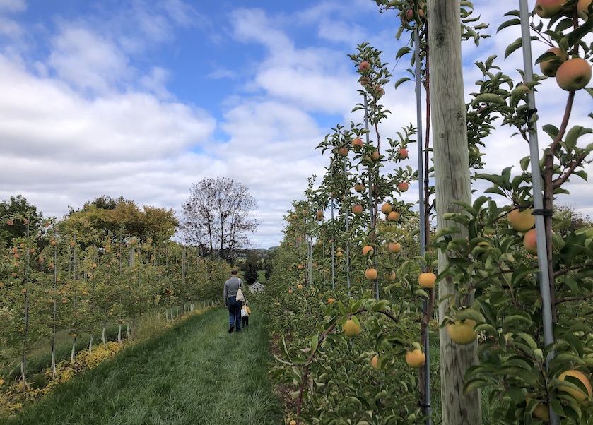  It was a perfect fall day for apple picking with family and industry colleagues.
