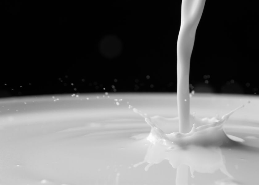 Class III Fall Milk Futures See A Boost Dairy Herd