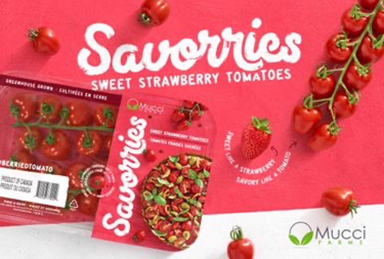 Mucci Farms touts its Savorries Sweet Strawberry Tomatoes The Packer