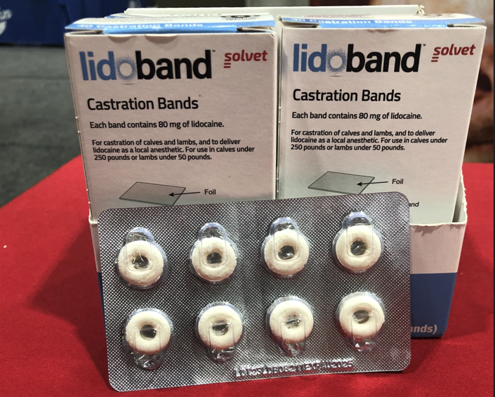 New Lidocaine-Infused Band Reduces Castration Pain, Discomfort