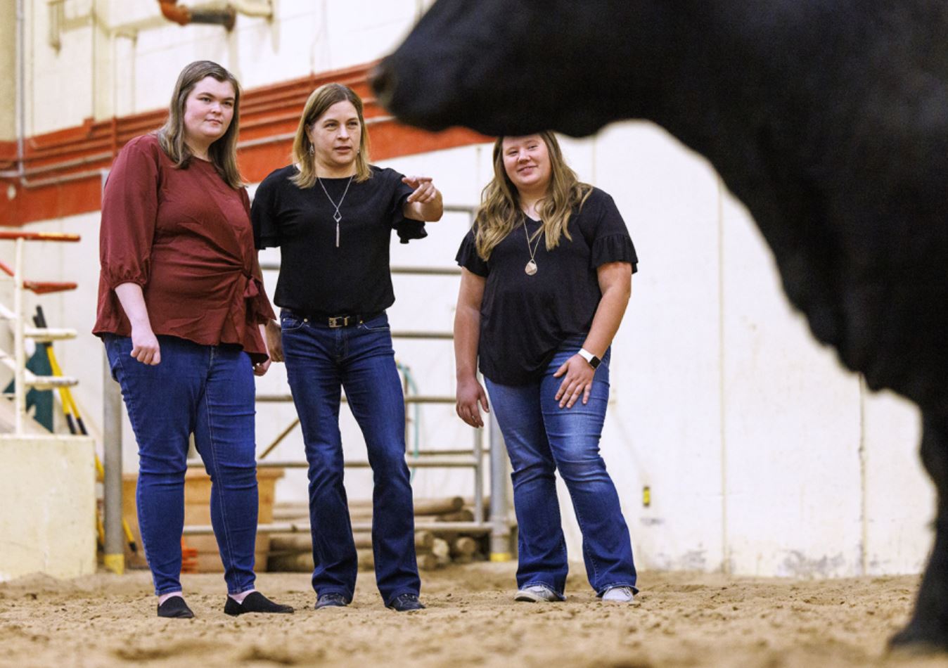Researchers Aim To Decode Mitochondrial DNA For Efficient Cattle Growth ...