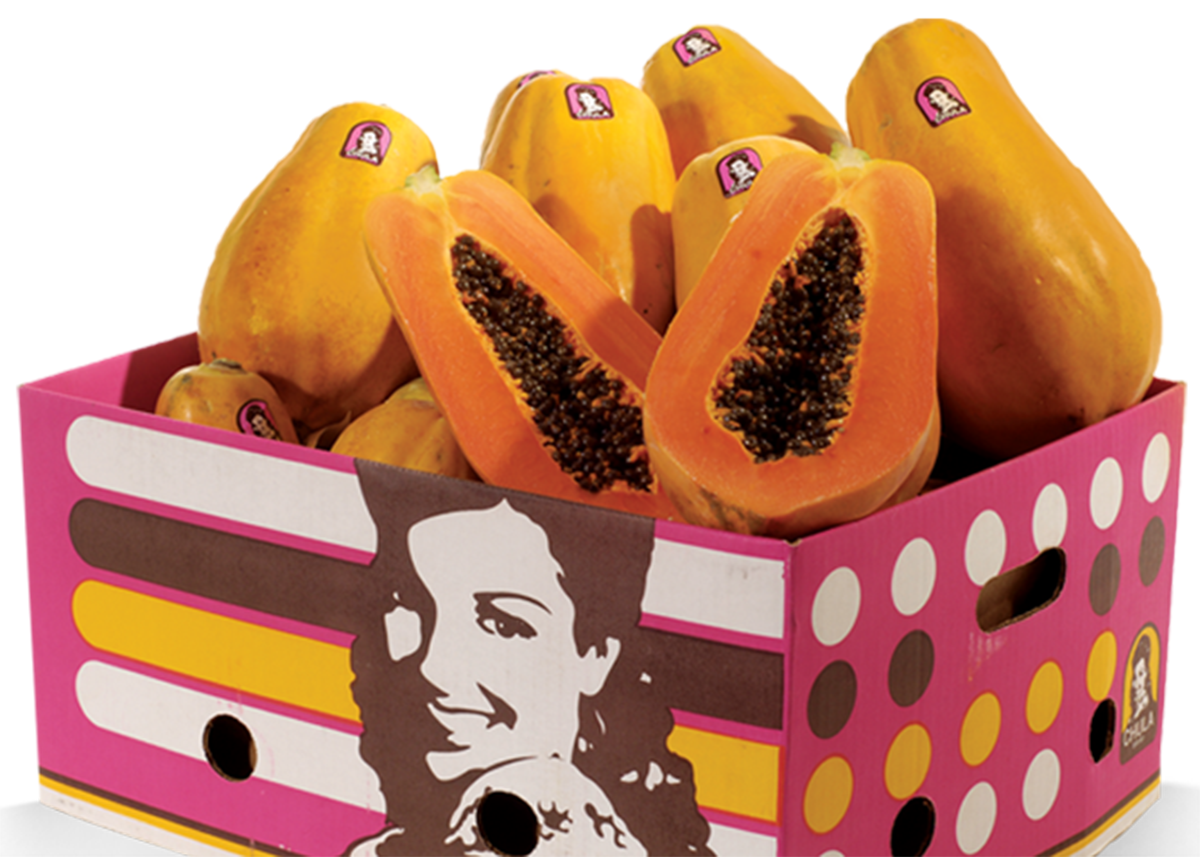 How papaya growers are prioritizing food safety The Packer