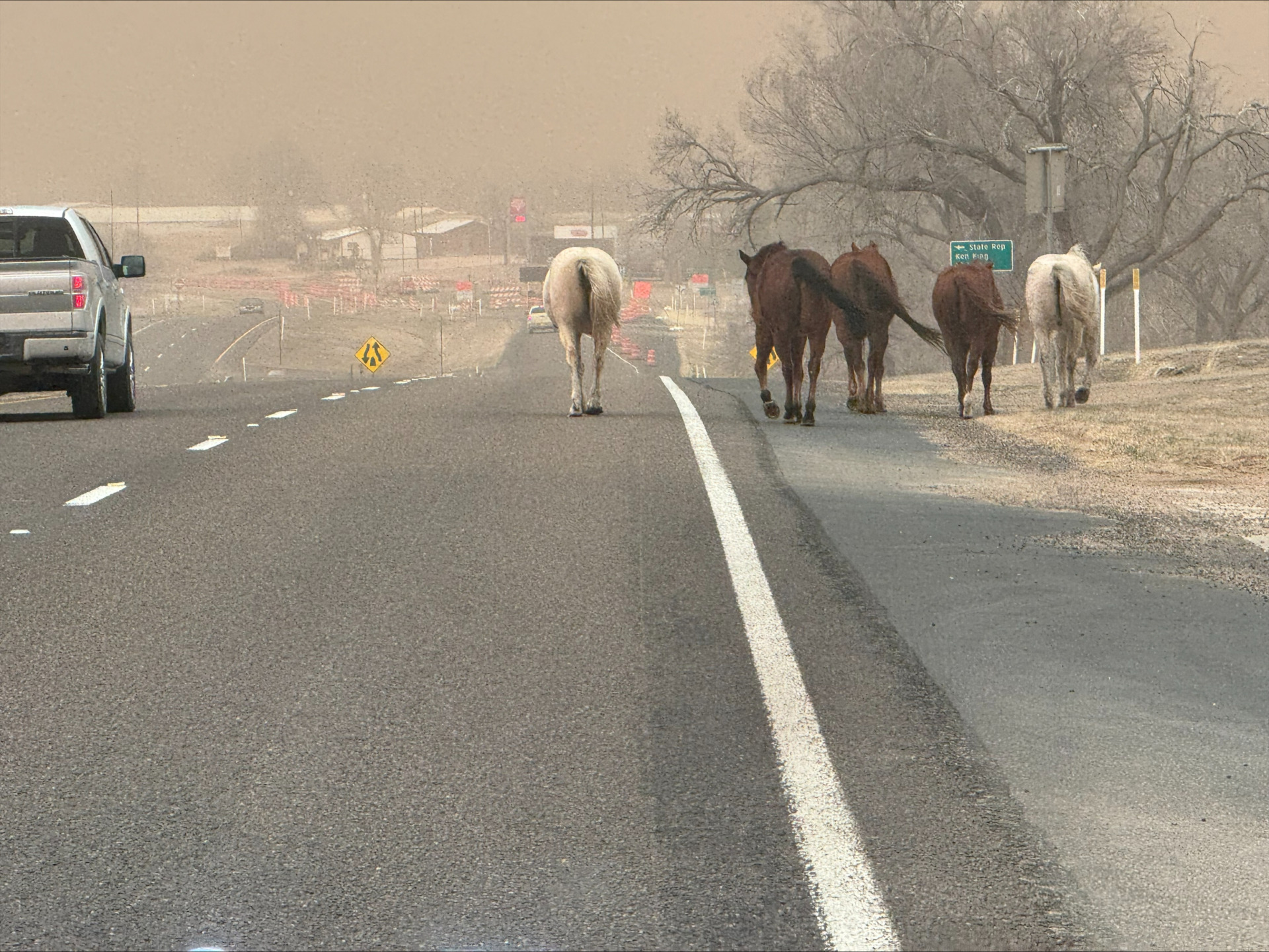 Hay, Feed, Fencing Supplies Needed to Support Panhandle Wildfire Victims