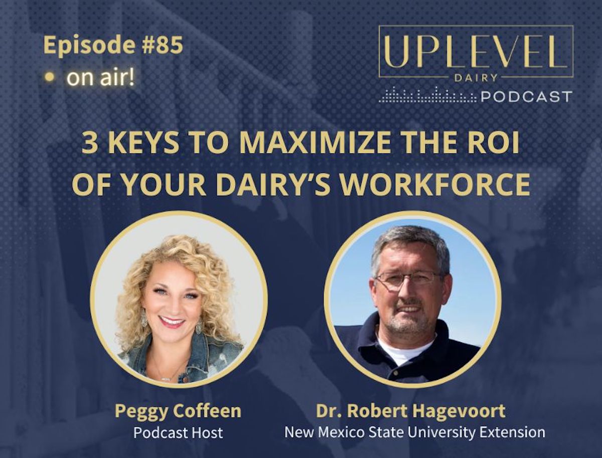 3 Keys to Maximize the ROI of Your Dairy’s Workforce | Dairy Herd