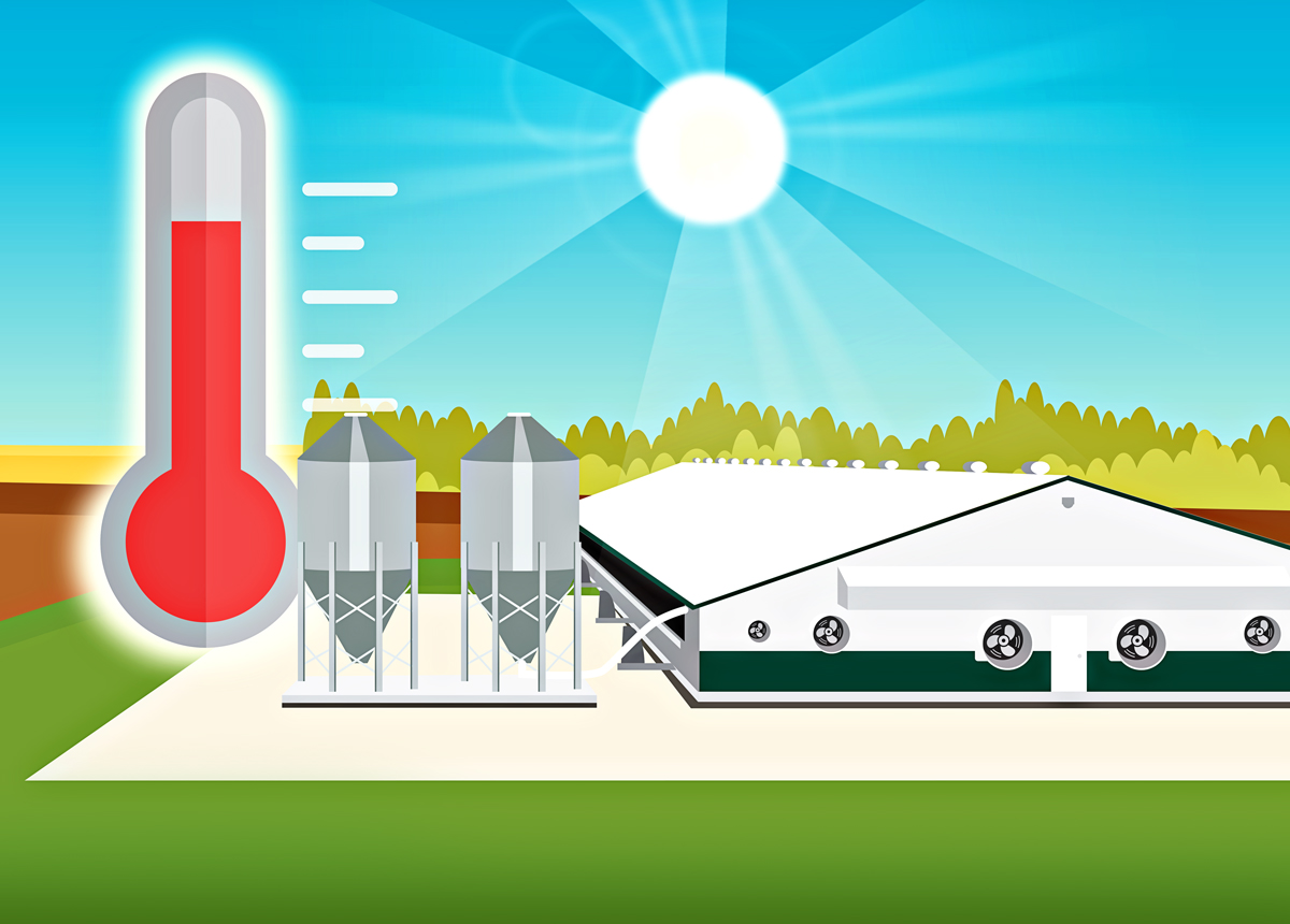Are Your Barns Ready for the Summer? | Pork Business