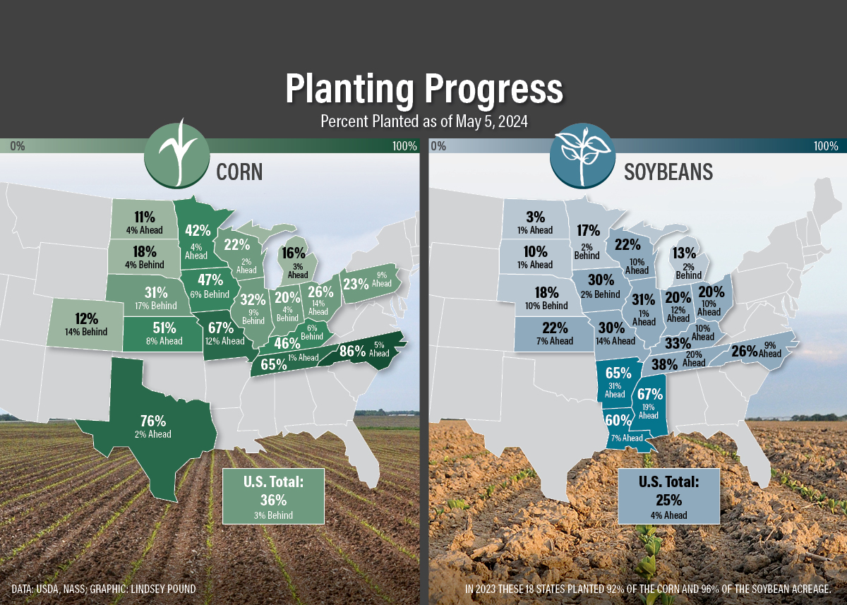 Crop Progress Update: South Continues To Surge, Slowdown Hits Iowa | AgWeb