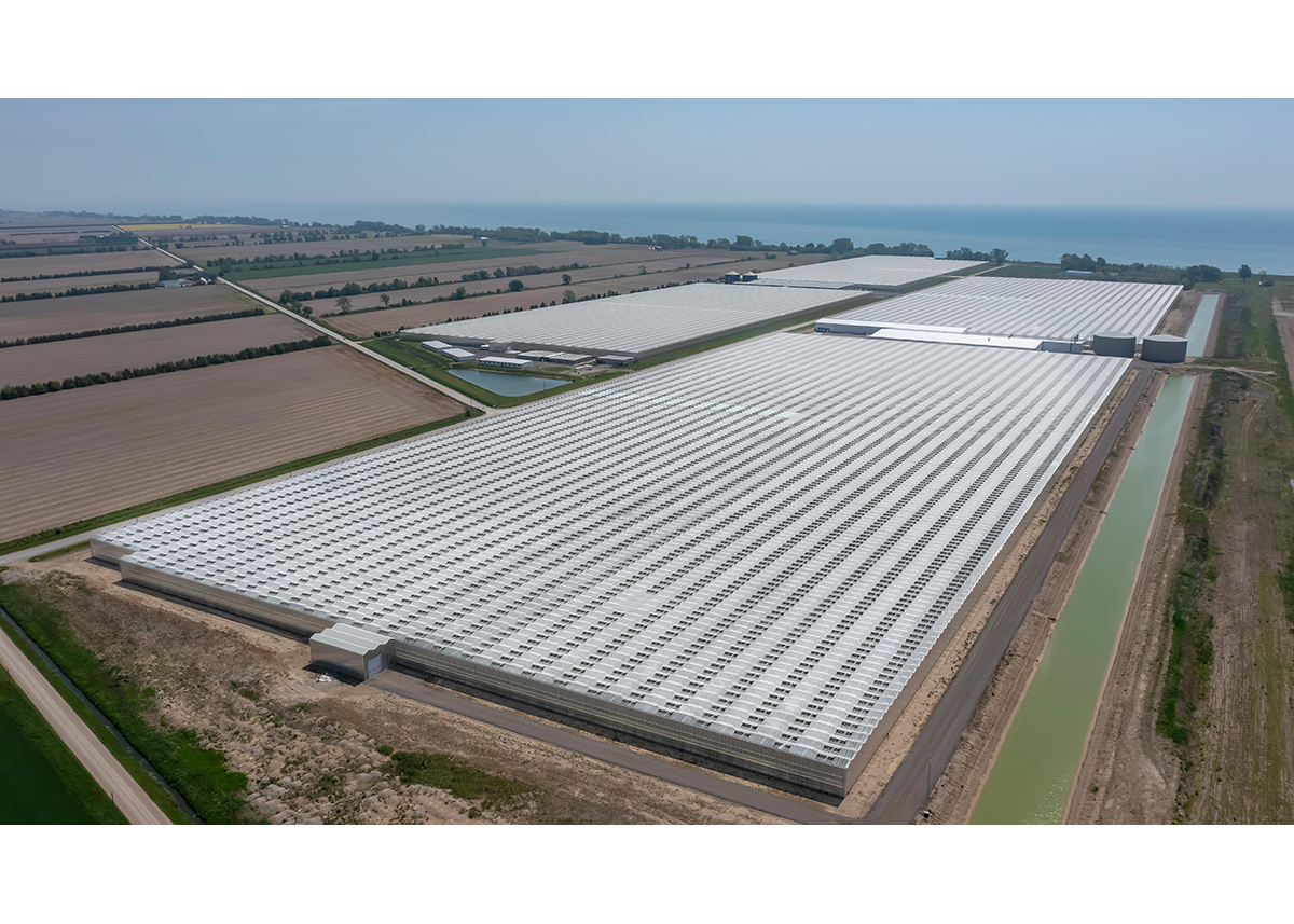 Mucci Farms adds Hacienda North Farms operations - Vimarsana News