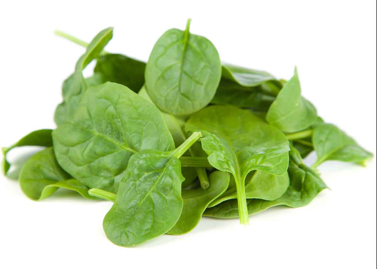 Solata Foods recalls baby spinach due to Listeria monocytogenes