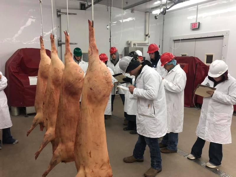 Texas Tech Claims 15th Intercollegiate Meat Judging Championship Drovers