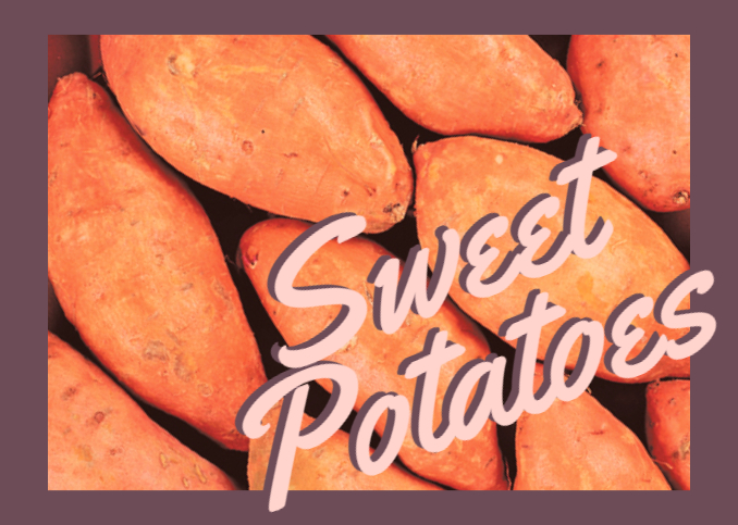 Organic Sweet Potatoe, overseas season update