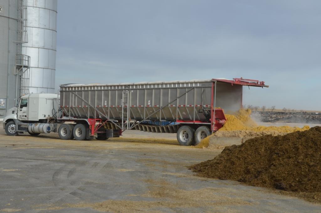 Livestock Producers Storing Wet and Modified Distillers Grains Dairy