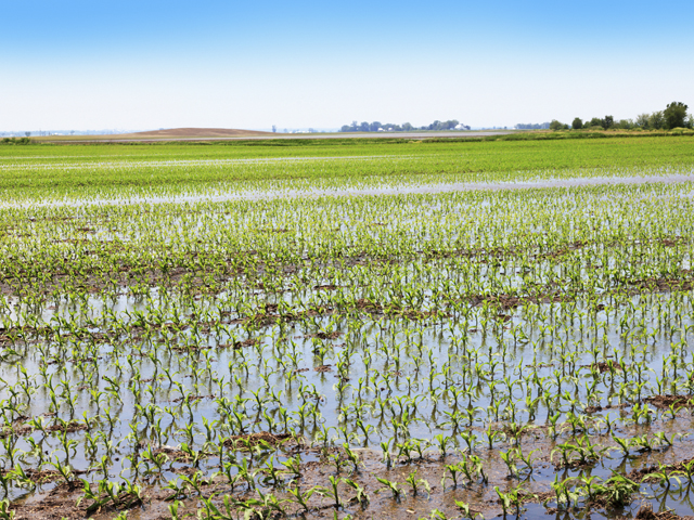 Experts Advise Farmers To Be Proactive About Crop Insurance | AgWeb