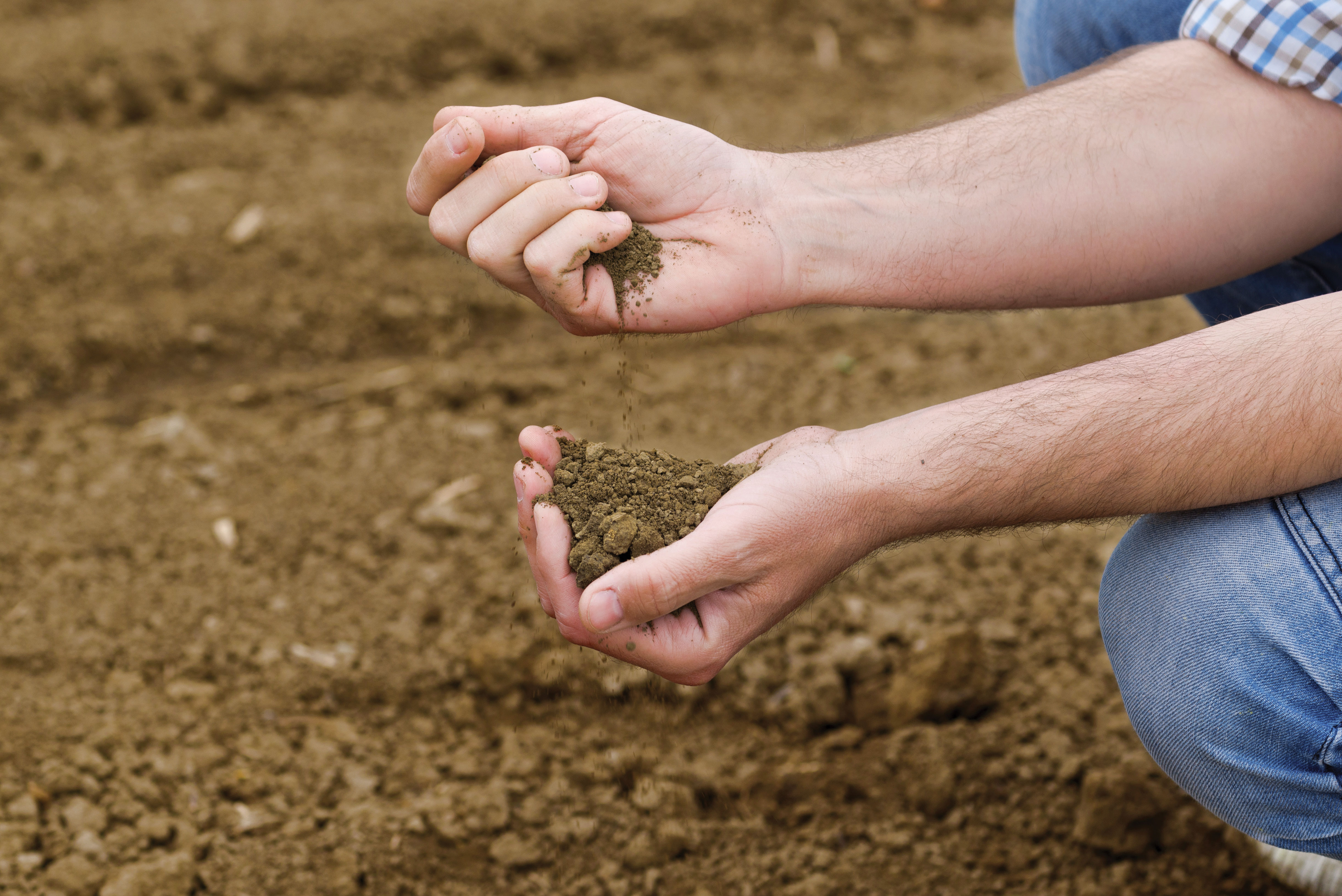 Уменьшения естественного плодородия почв. Неплодородная почва. Качество почвы. Плодородные почвы это в экологии. Повышение плодородия земель.