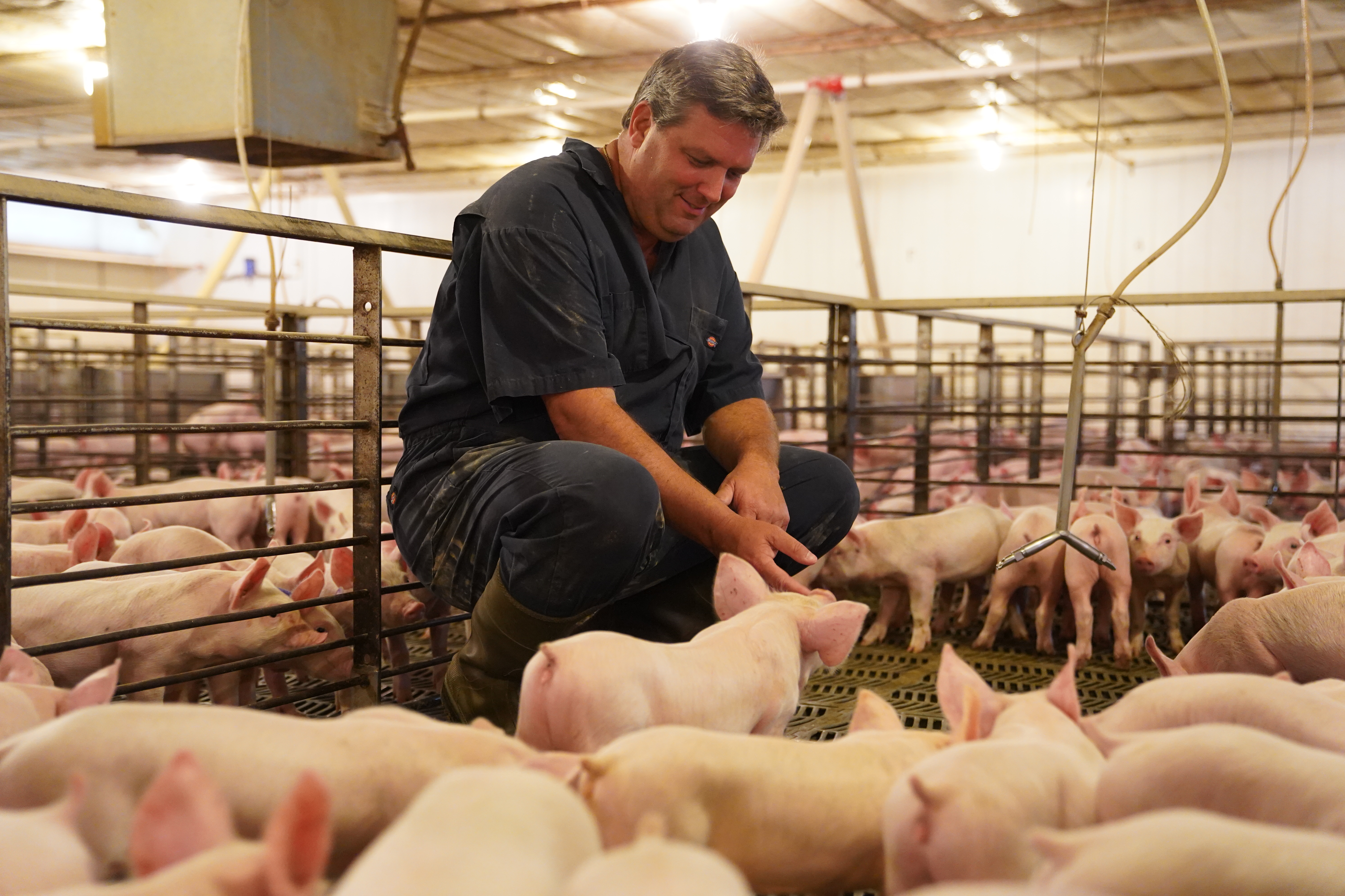 First-Gen Pig Farmer Speaks Out.