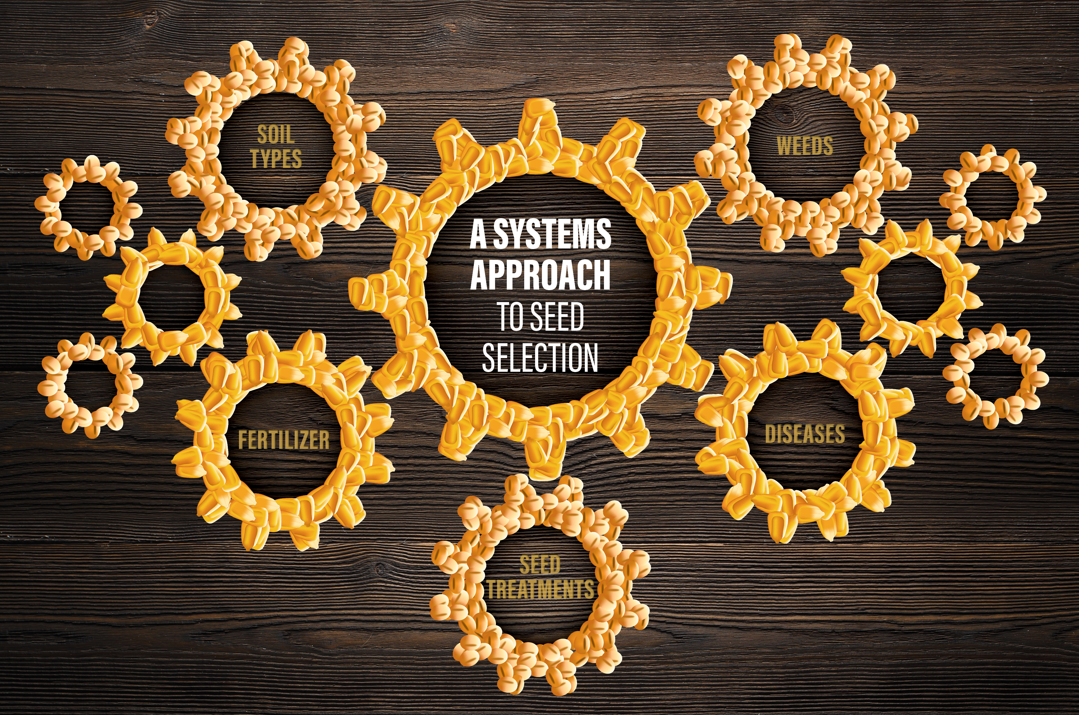 A Systems Approach to Seed Selection