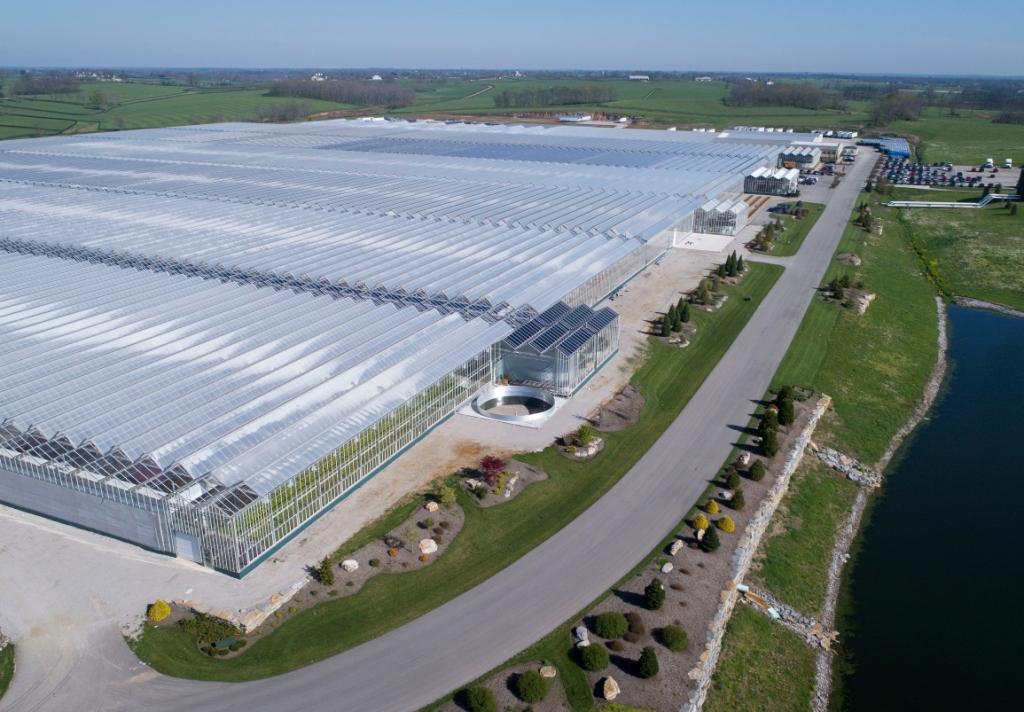 41Acre Kentucky Greenhouse Merges with Hemp Growing Company The Scoop