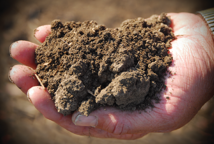 5 Ways to Measure Soil Health | AgWeb